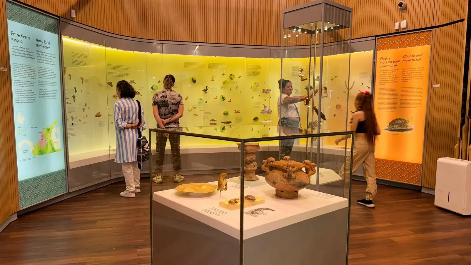 Museo del Oro Zenú: Tesoros Ancestrales