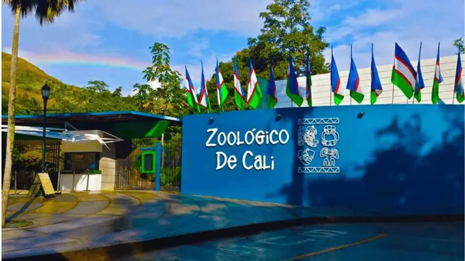 El Zoológico de Cali: Un Oasis de Biodiversidad